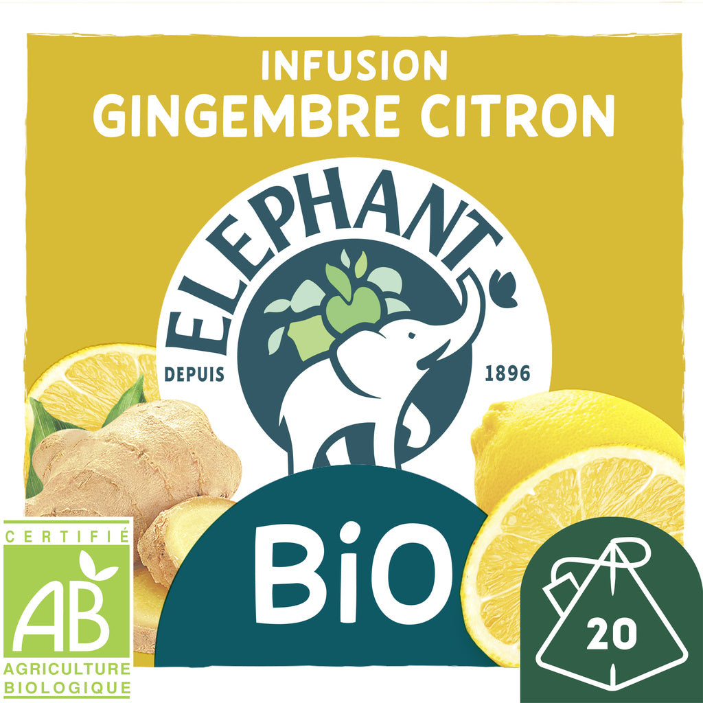 ELEPHANT Infusion gingembre citron BIO x20