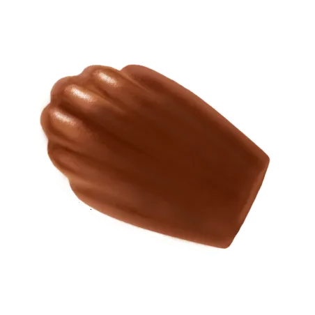 ST MICHEL madeleines topped with milk chocolate 350g