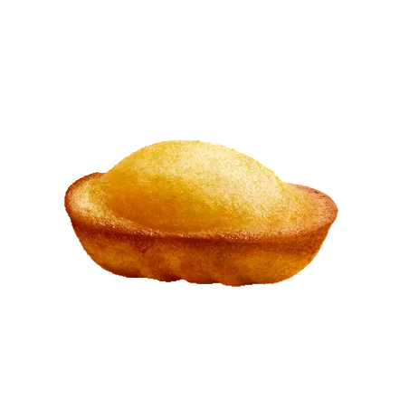 St Michel Petites madeleines natures 1kg*